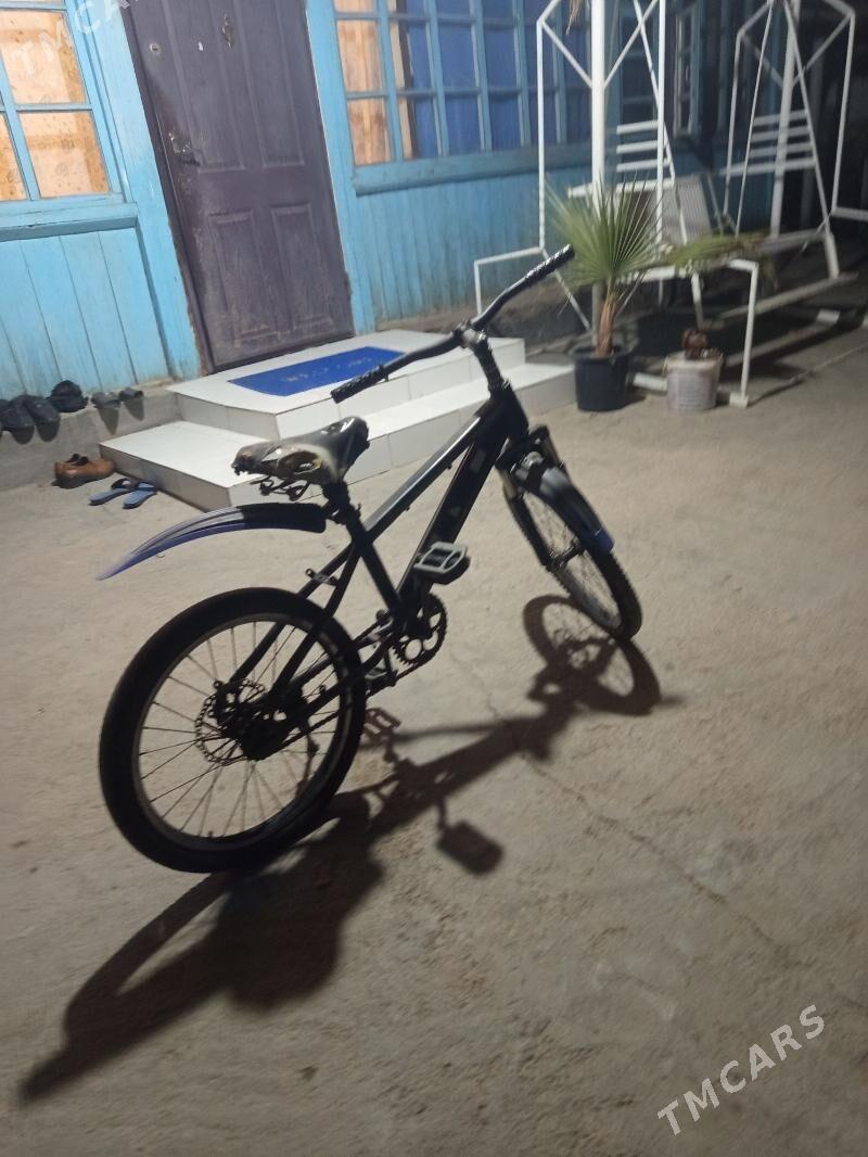 Tigir - Tejen - img 1