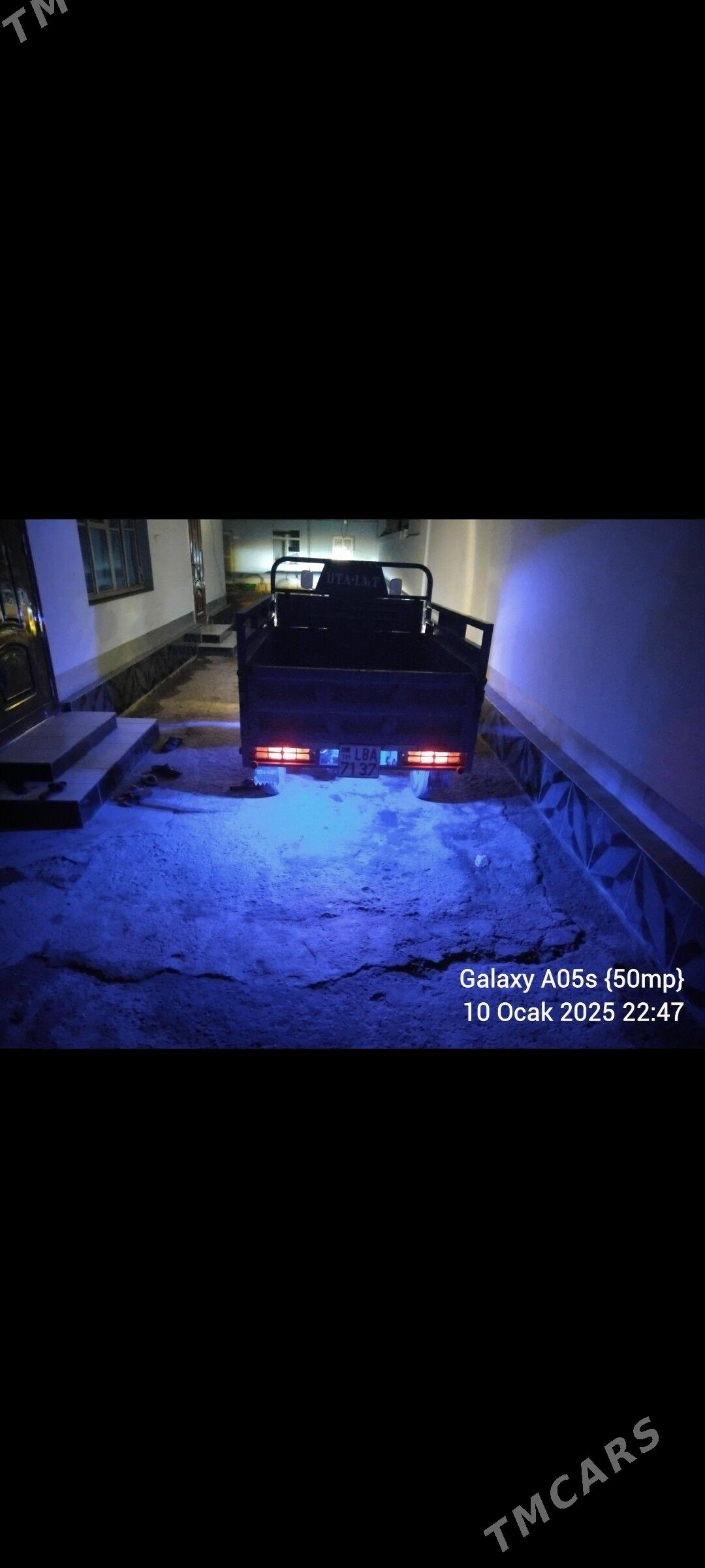 dostavka muravey - Türkmenabat - img 1