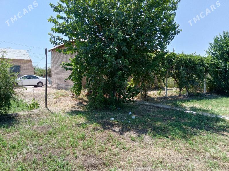 Дача Карамянск - Туркменабат - img 1