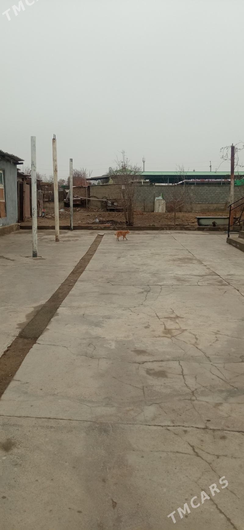 satlyk mellek eýesinden - Bagyr - img 1