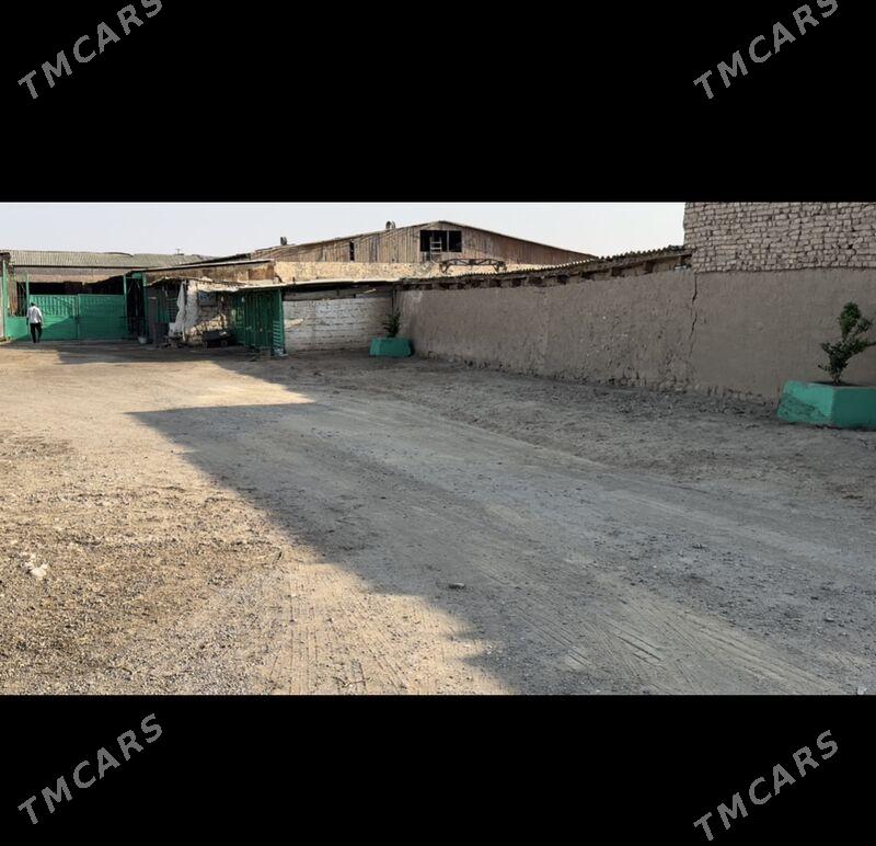 hususy ferma - Анев - img 1