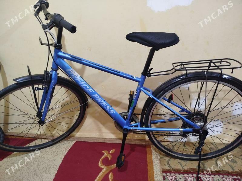 тигир - Herrikgala - img 1