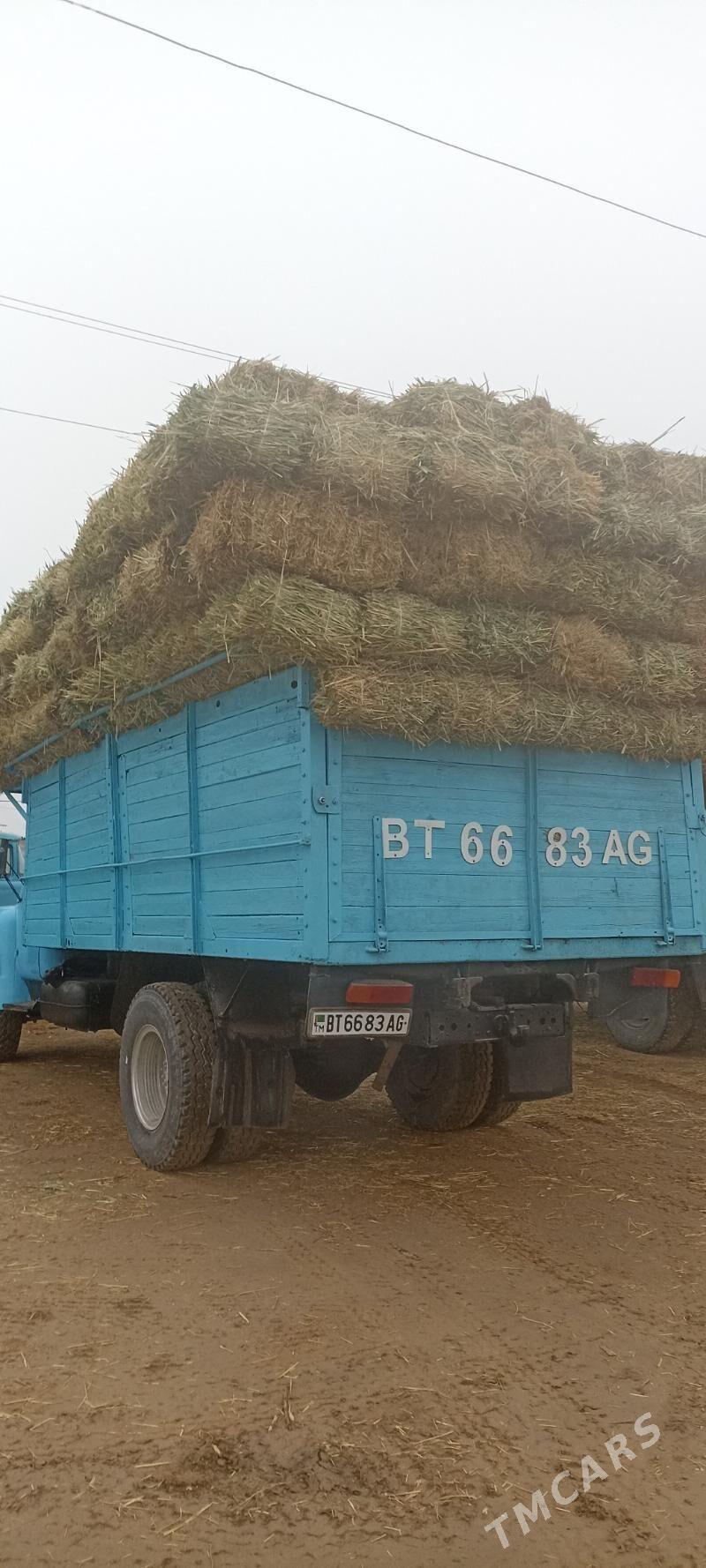 gamyş - Garadamak - img 1