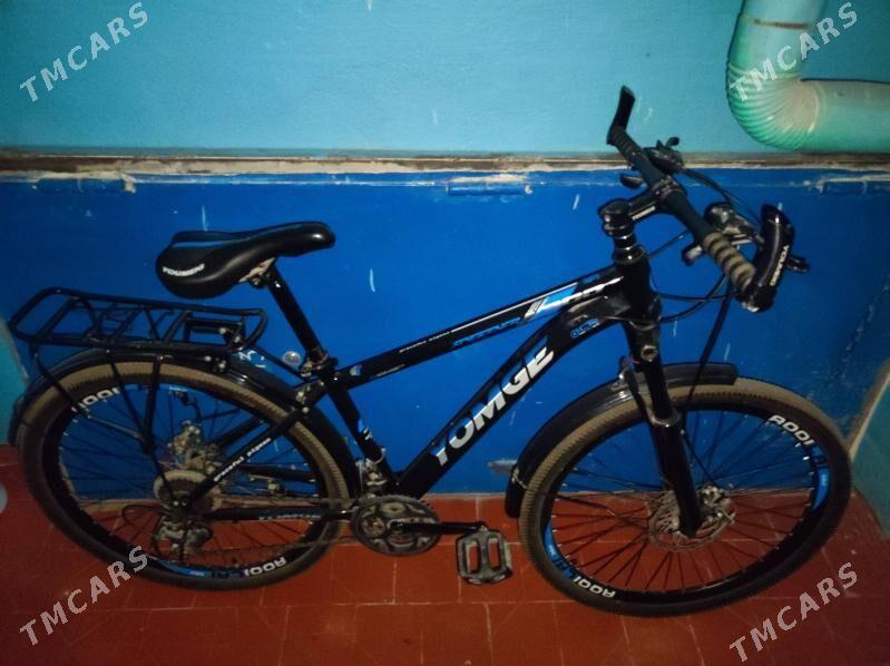 Welisoped - Türkmenbaşy - img 1