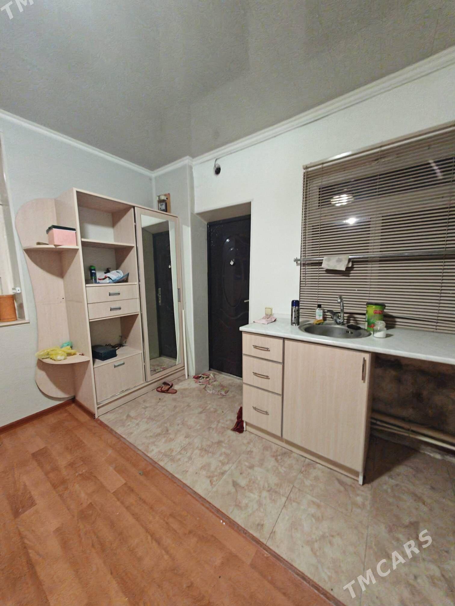 eyesenden jay 3 km - Mary - img 1