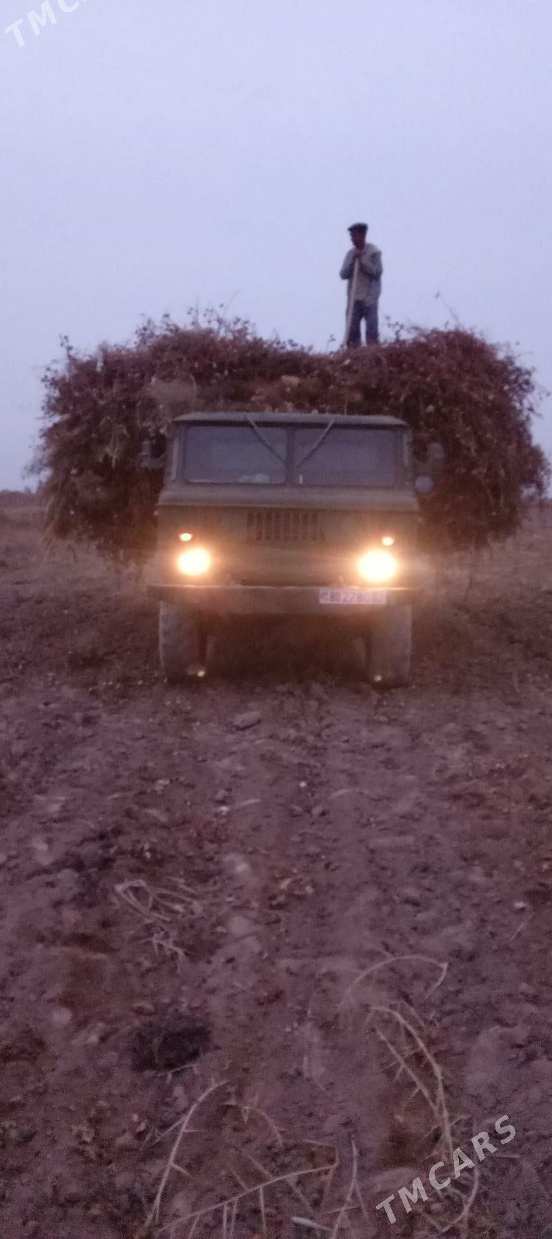 Gaz 66 1993 - 45 000 TMT - Гороглы (Тагта) - img 1