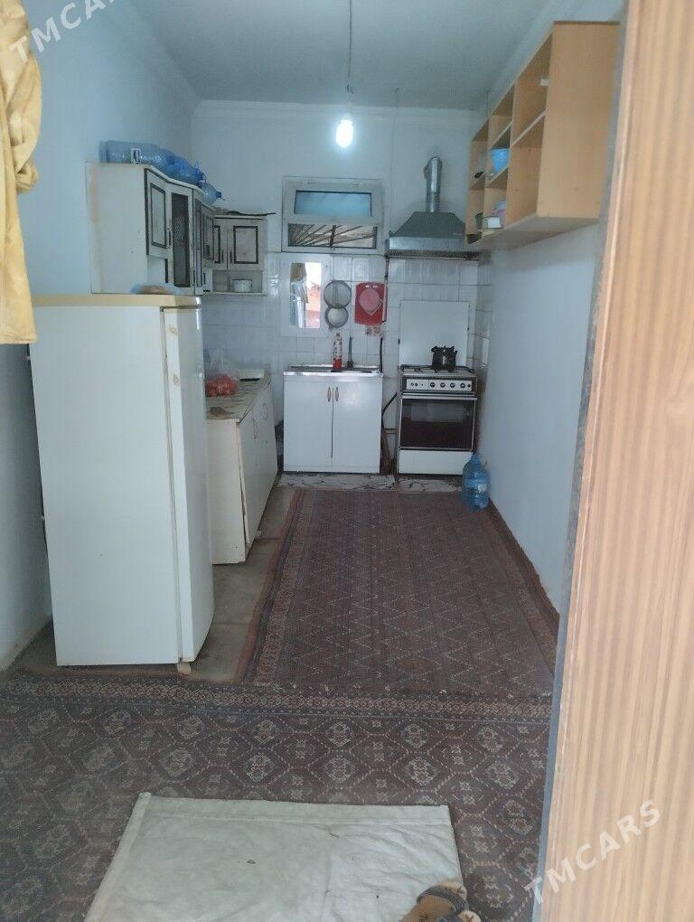 ANEW - Änew - img 1