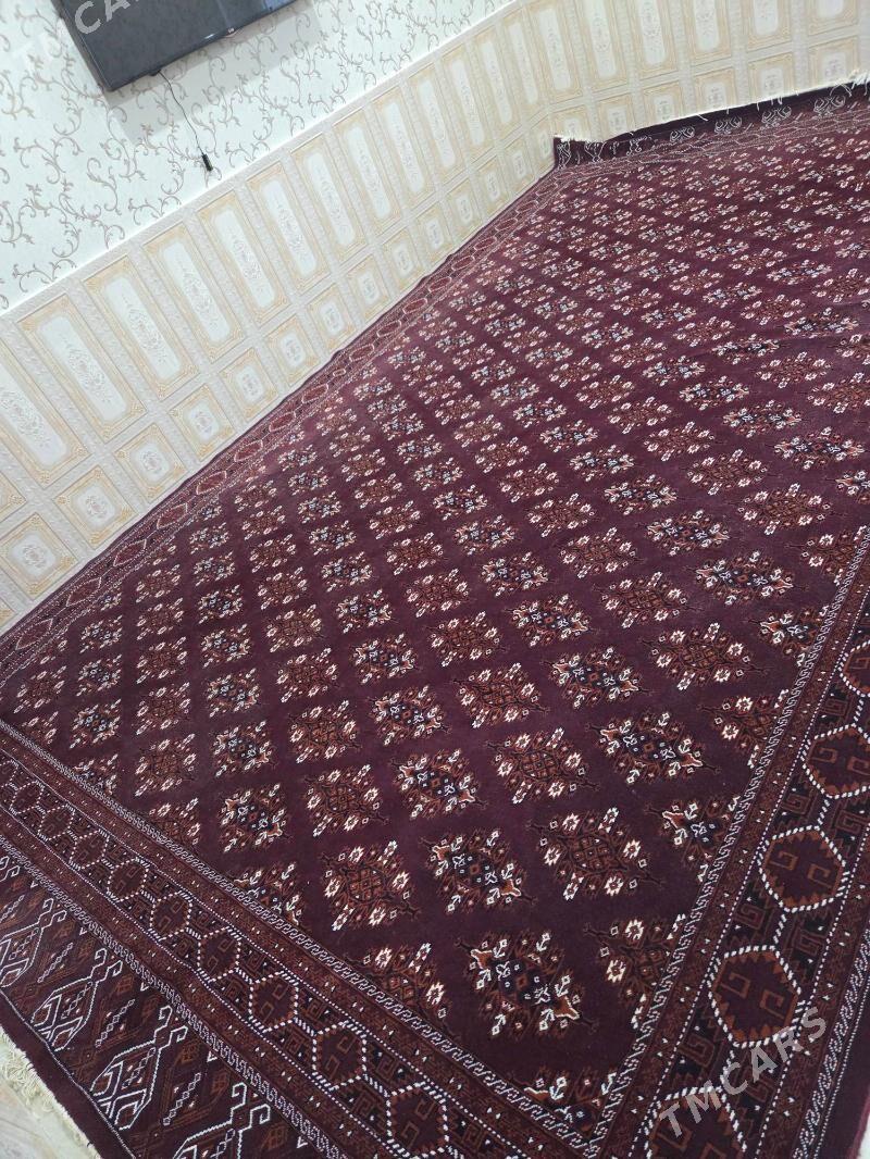 gölli haly - Mary - img 1