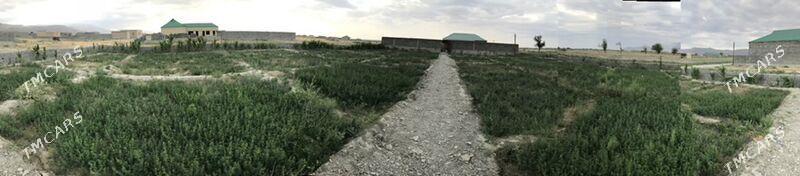 jay howly - Bäherden - img 1