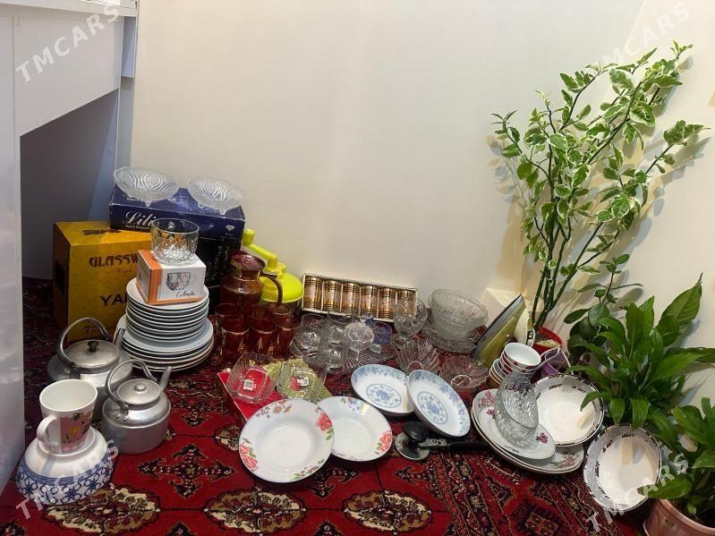 pasuda - Ашхабад - img 1