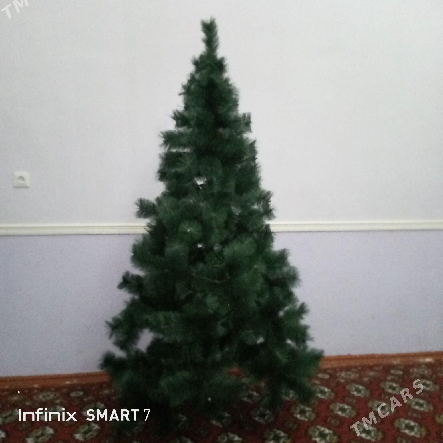 ýolka - Дашогуз - img 1