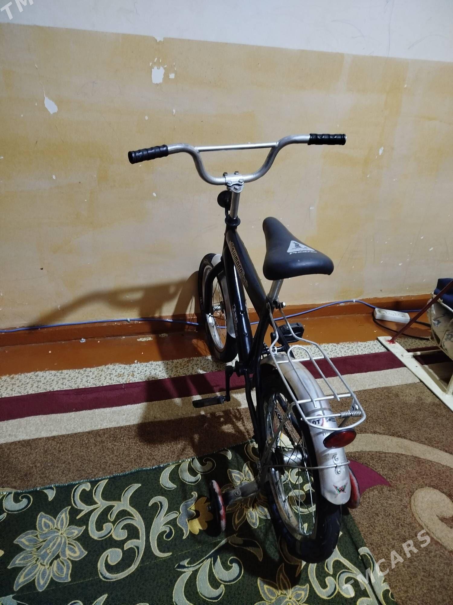 16 tigir - Howdan "A" - img 1