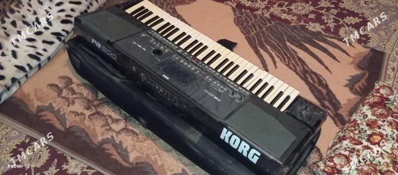 KORG PA 600 - Baýramaly - img 1