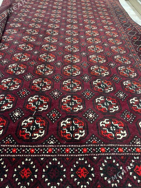 el haly - 4 мкр - img 1