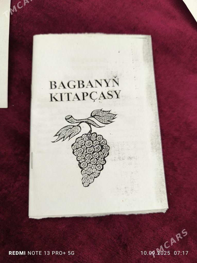 дача саглык йолун угрунда - Туркменабат - img 1
