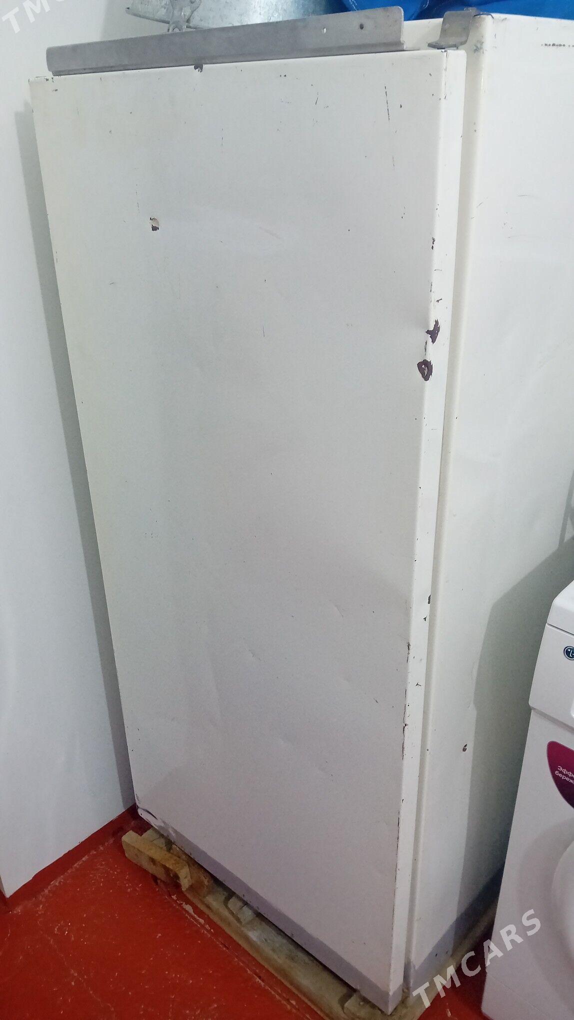 haladinnik - Mary - img 1