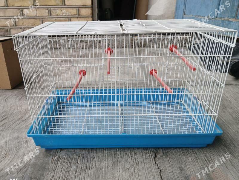 Gus saklanyan - Мары - img 1