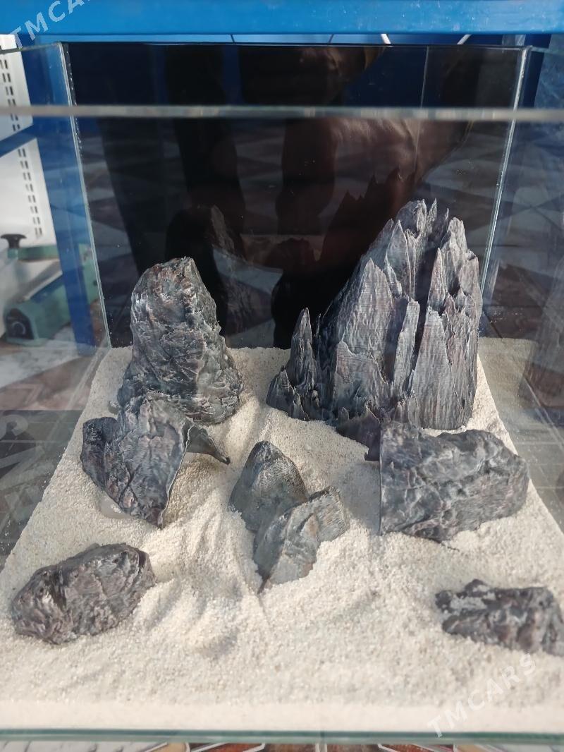 Аквариумы - Ашхабад - img 1