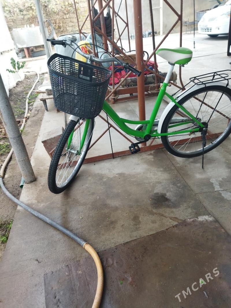 tigir - Büzmeýin - img 1