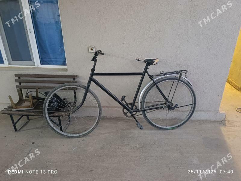 tigir 28 - Änew - img 1