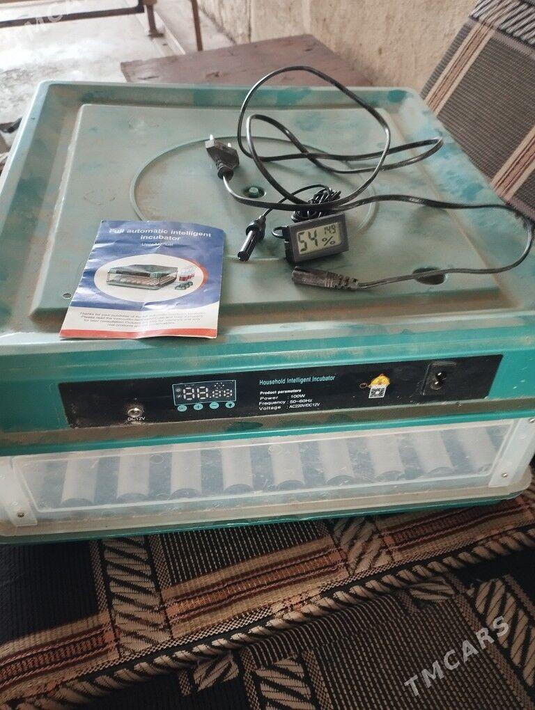 enkubator - Бузмеин - img 1