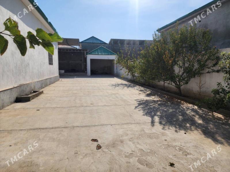 Anew Jay Satlyk - Änew - img 1