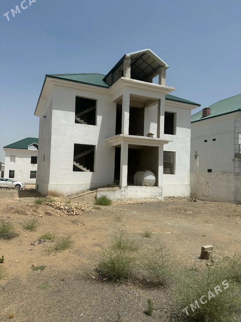 kotej Korobka ahal koce - Анев - img 1