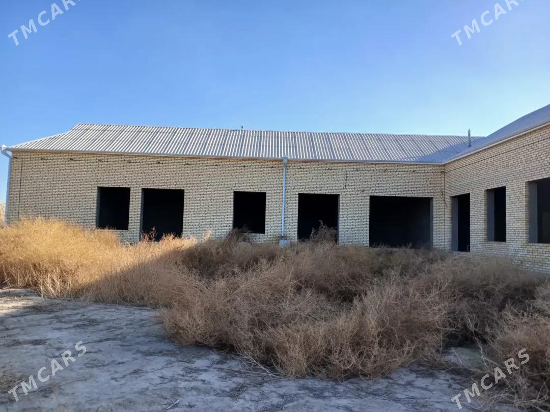 satlyk jay - Мургап - img 1