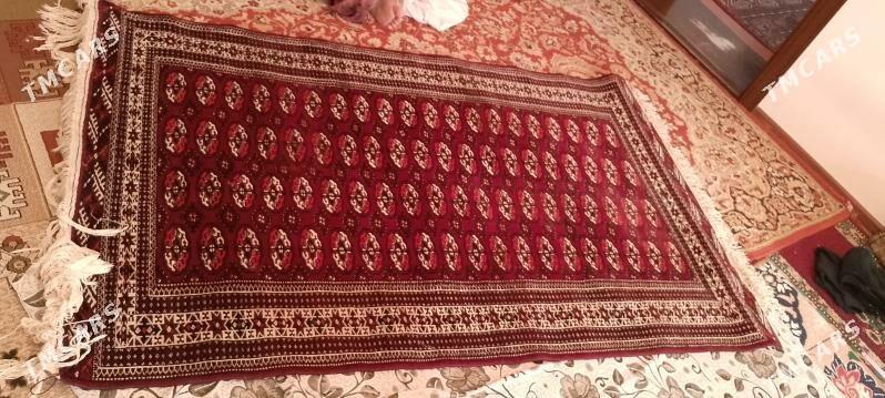 Haly 2 metrlik - Türkmenbaşy - img 1