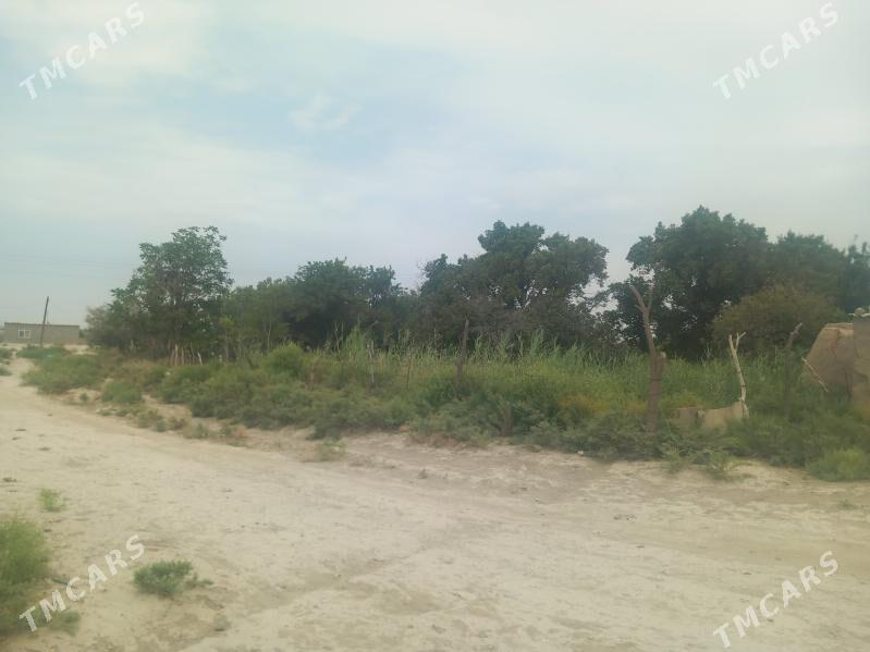 satlyk jay - Гызыларбат - img 1