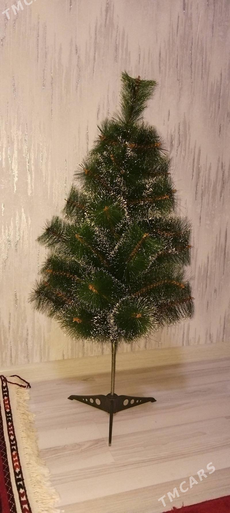 Arça - Balkanabat - img 1