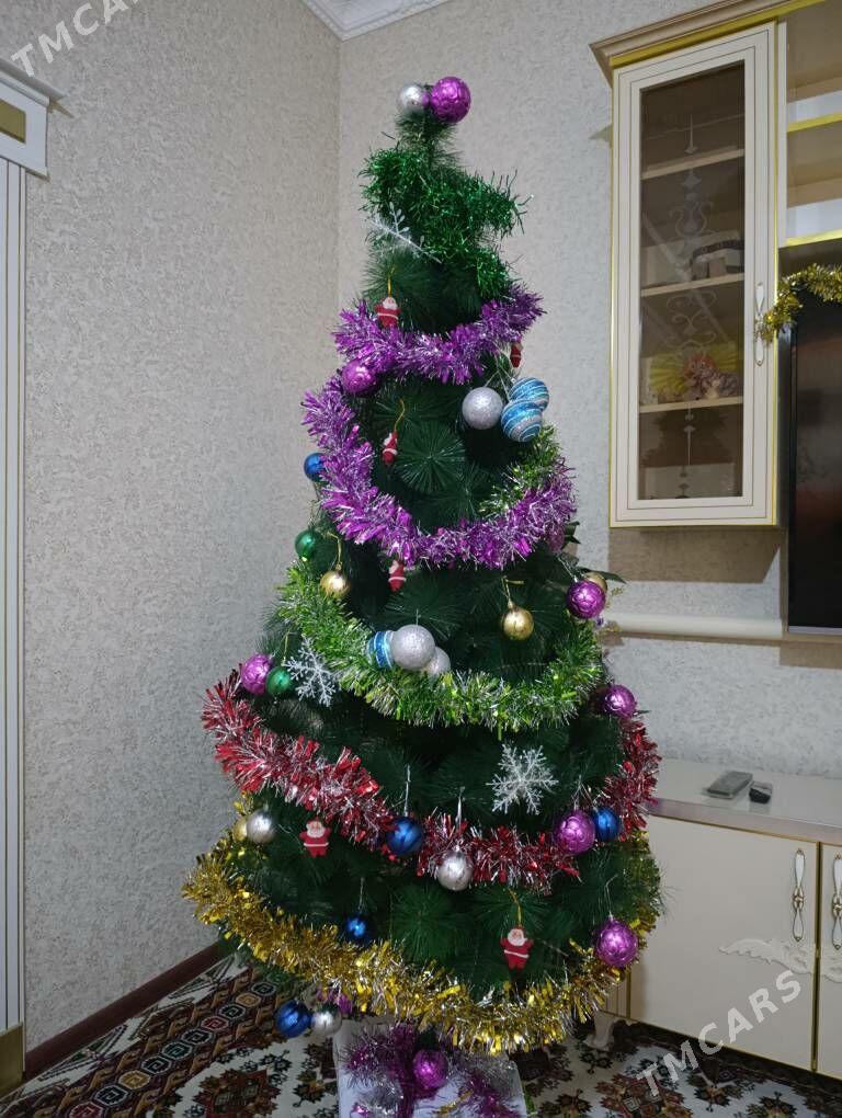 Ýolka - Görogly (Tagta) - img 1