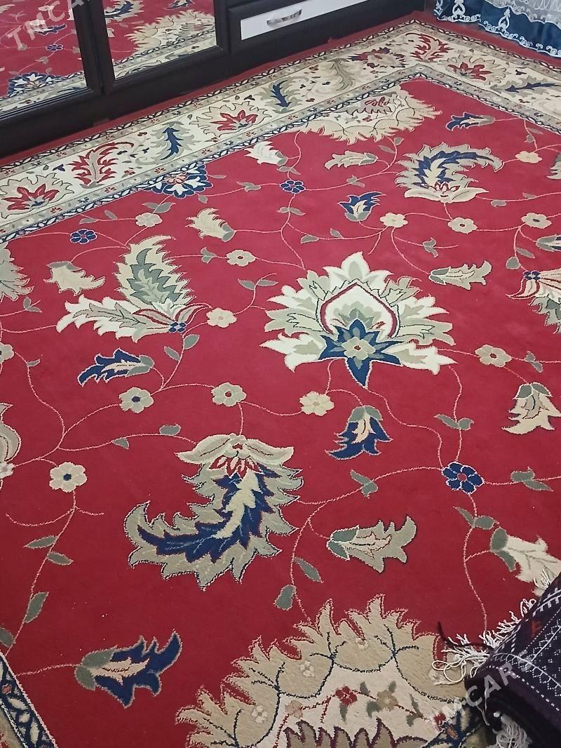 haly - Балканабат - img 1