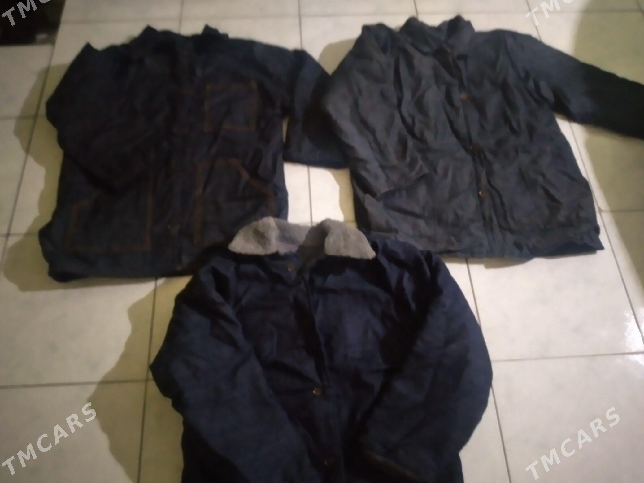 Гуппи - Дашогуз - img 1