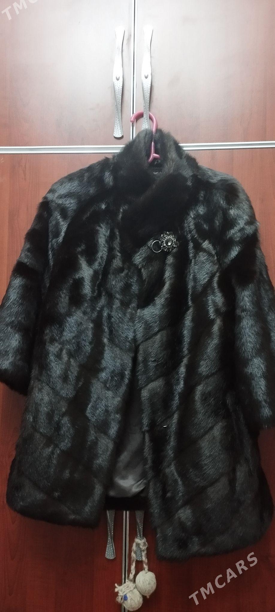 Palto - Täze zaman - img 1