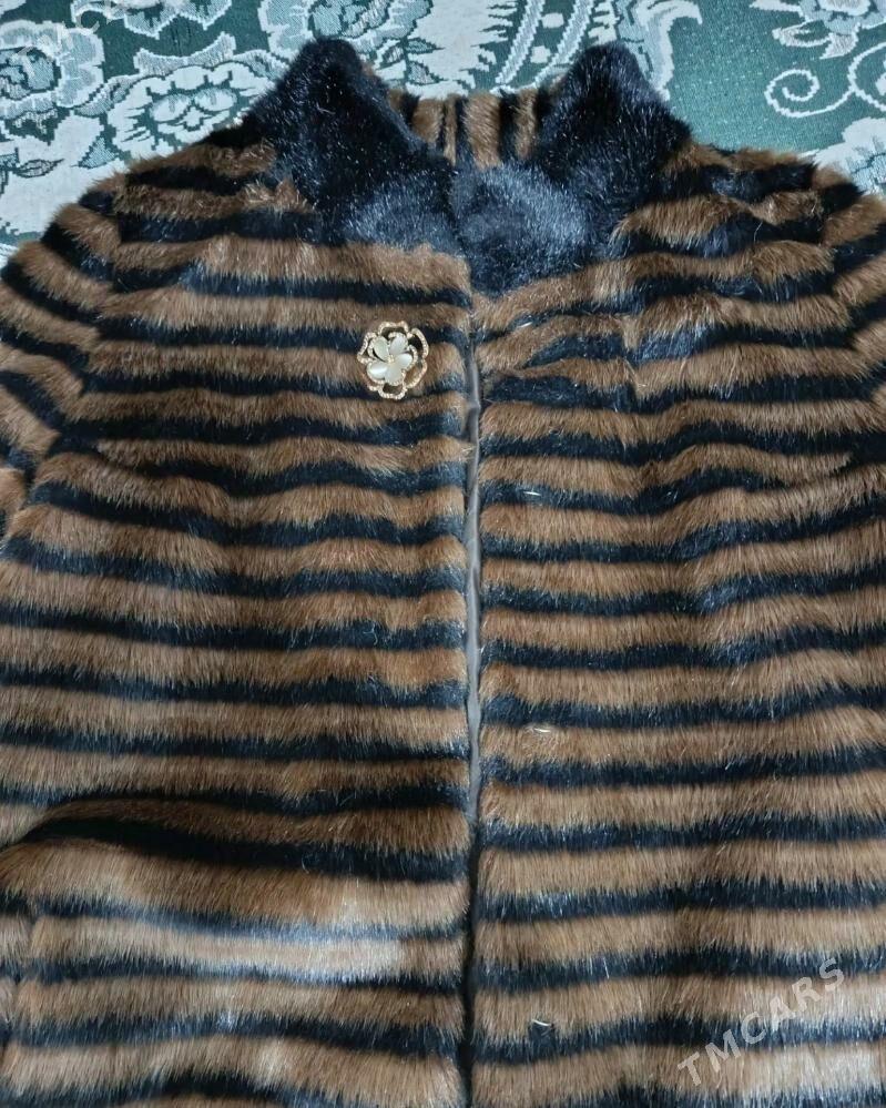 Şuba - Balkanabat - img 1