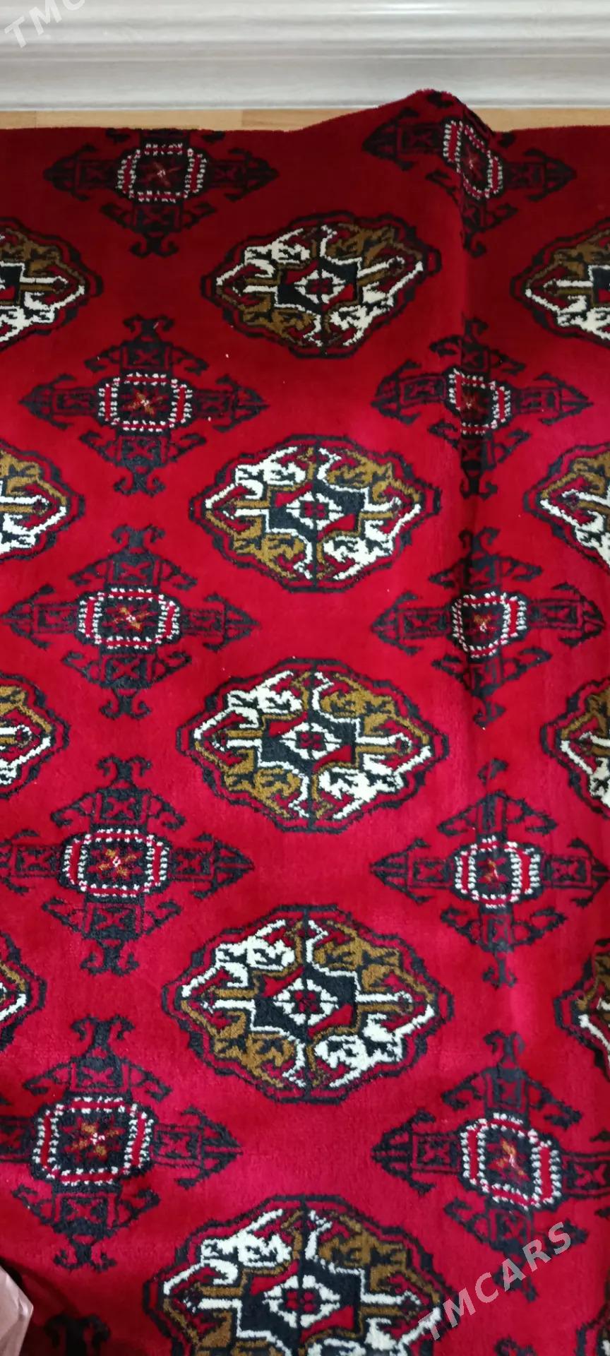 haly - Büzmeýin - img 1