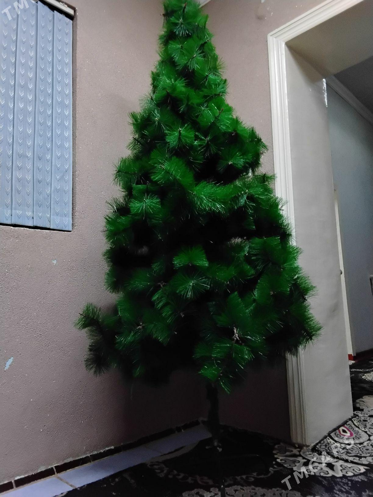 Yolka - Köneürgenç - img 1