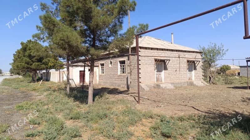 Mellek Yer jay - Gökdepe - img 1