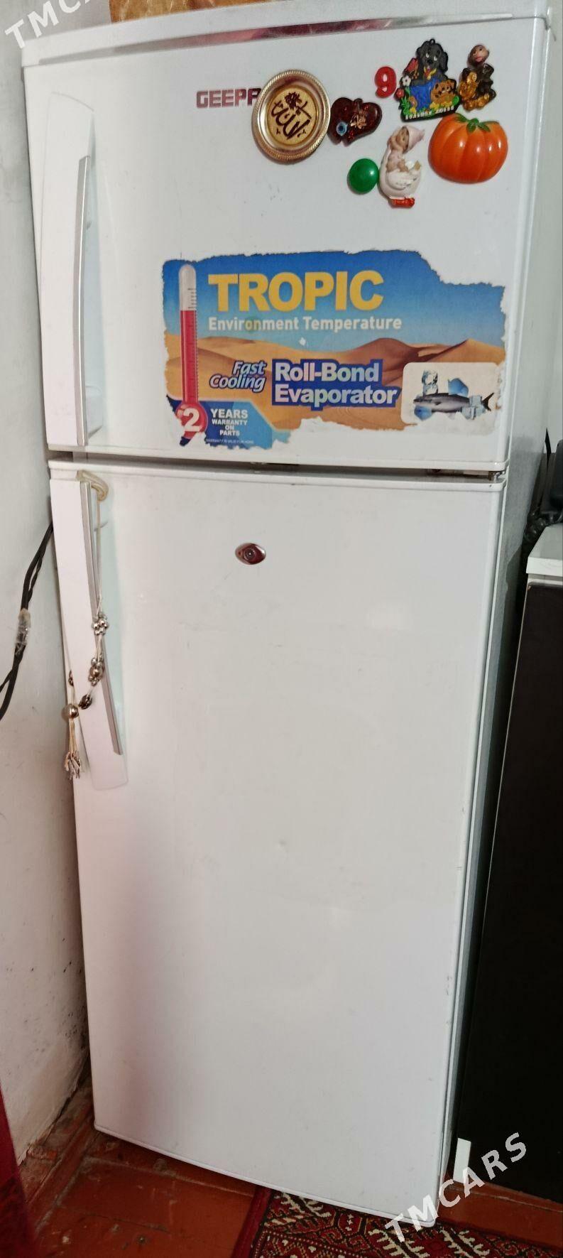 Satlyk holadilnik - Ёлётен - img 1