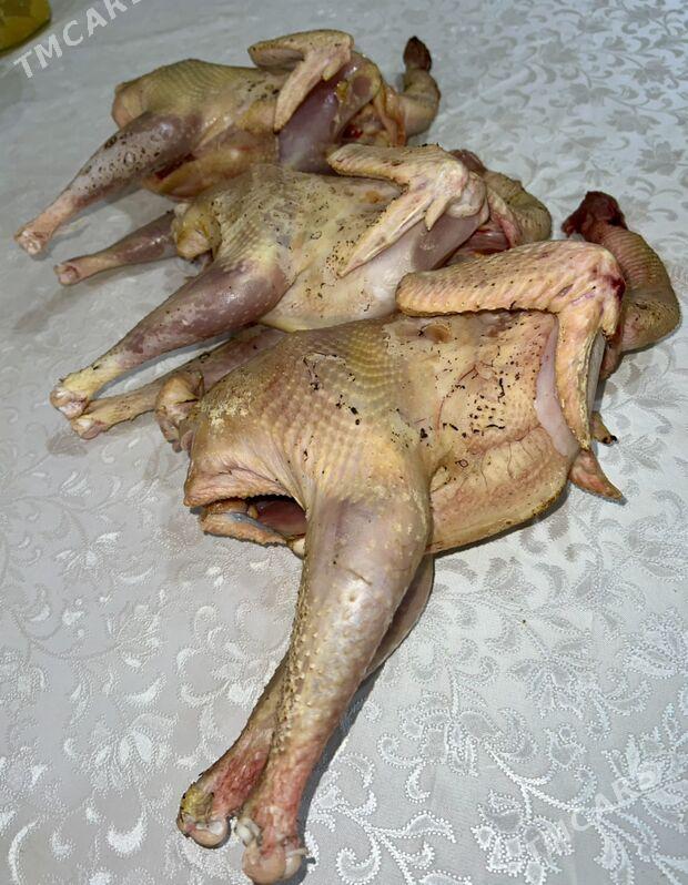 Öy towuk we horazlar - Дашогуз - img 1