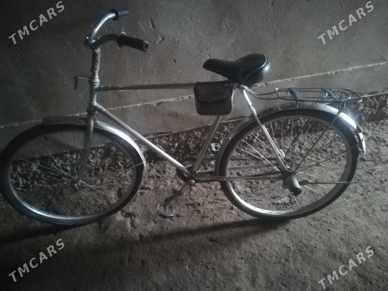 Velik sprtvni - Akdepe - img 1