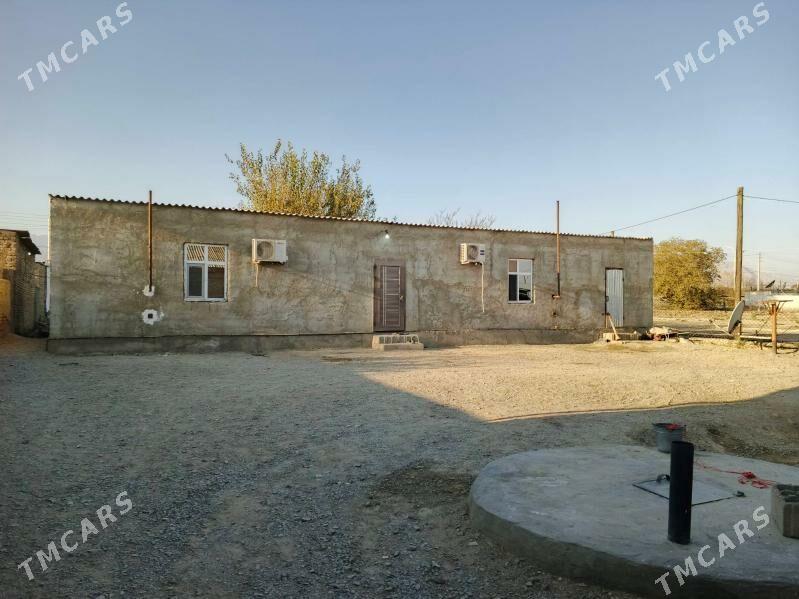 Satlyk jay - Бахарден - img 1