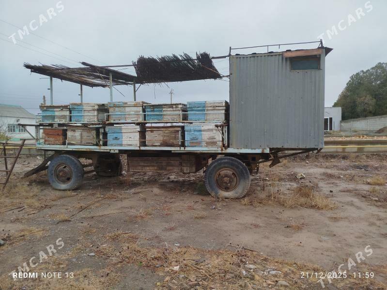 ary teleşge(pirsep) - Кака - img 1