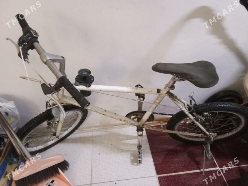 Ýapon tigir - Бузмеин - img 1