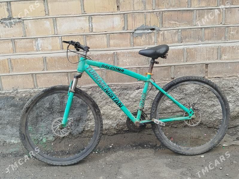 Türkmenistan Tigir - Хитровка - img 1