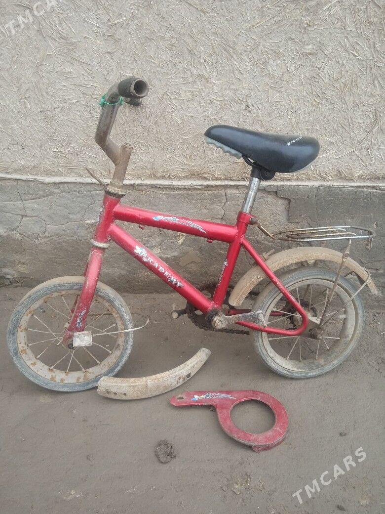 welsoped - етр. Туркменбаши - img 1