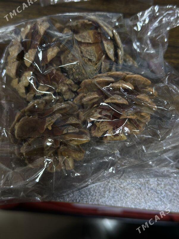 Мини елка - Garaşsyzlygyň 15 ýyllygy Söwda Merkezi - img 1