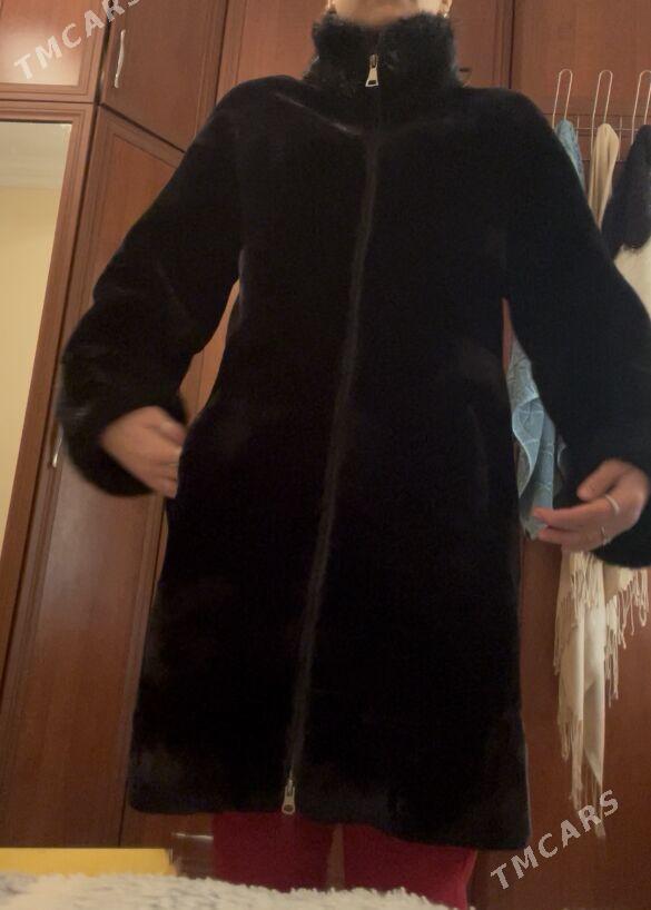 şuba - Ашхабад - img 1