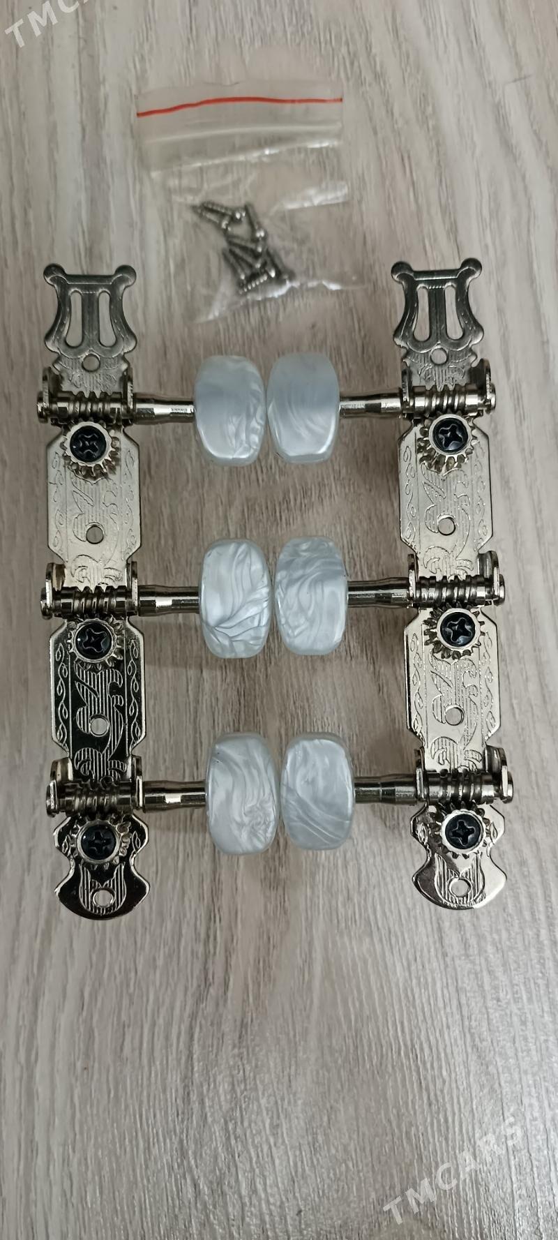 Gitara gulagy Колки - Ашхабад - img 1